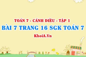 Bài 7 trang 16 SGK Toán 7 tập 1 Cánh Diều